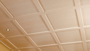 Ceiling Tiles and Medallions